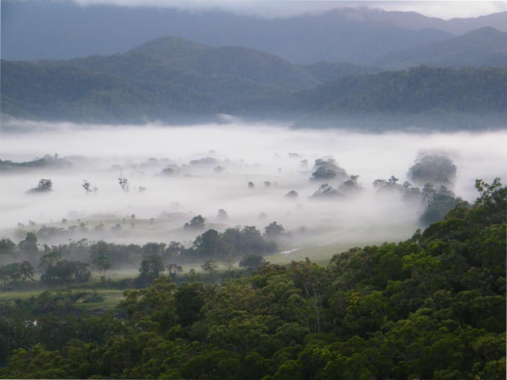 Villa Cloud 9 Daintree Esterno foto