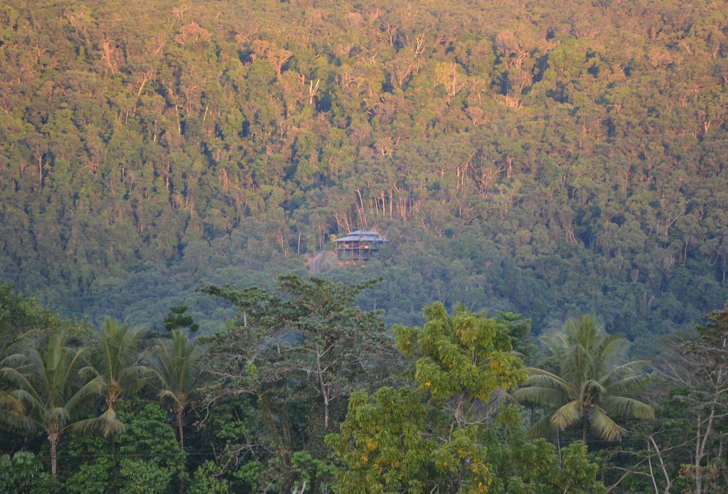 Villa Cloud 9 Daintree Esterno foto