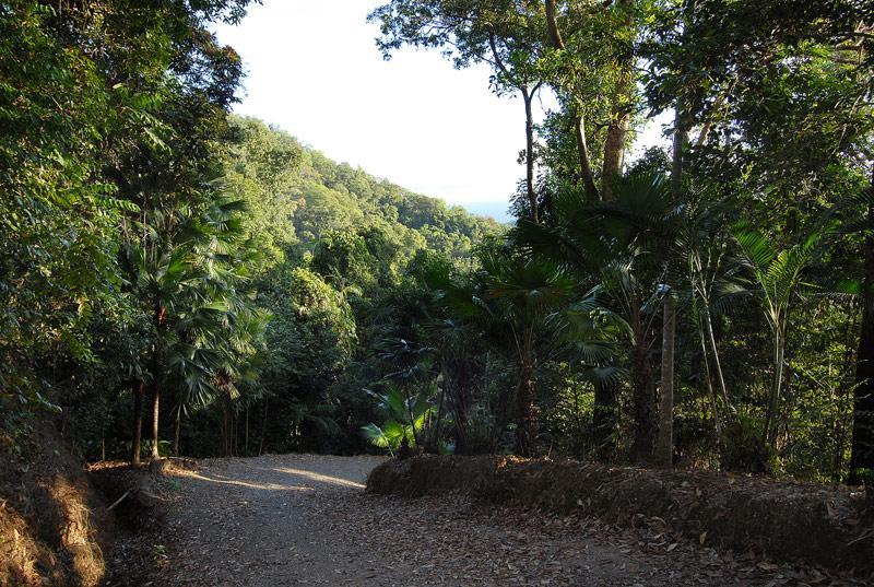 Villa Cloud 9 Daintree Esterno foto